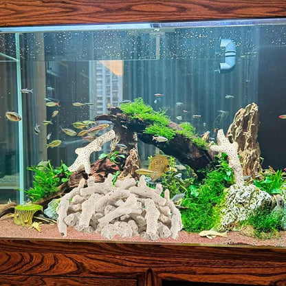 1.1 LB Coral for Fish Tank Filter,Crushed Coral for Aquarium,Pond Filter for Aquarium - Crushed Coral for Freshwater Aquarium,Aquarium Filter, Coral Stones, Each One is Hand Selected