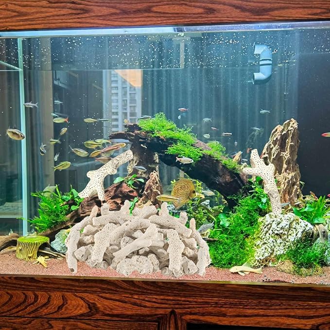 1.1 LB Coral for Fish Tank Filter,Crushed Coral for Aquarium,Pond Filter for Aquarium - Crushed Coral for Freshwater Aquarium,Aquarium Filter, Coral Stones, Each One is Hand Selected