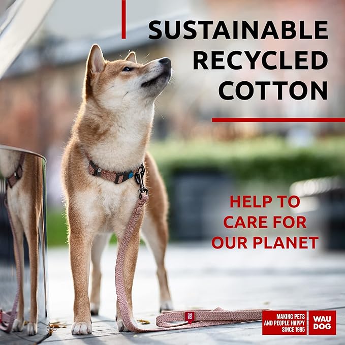 Recycled Cotton Dog Leash Eco-Friendly Alternative to Nylon for Small Medium and Large Dogs - Reflective Strong Dog Leashes for Large Breeds - Puppy Leash