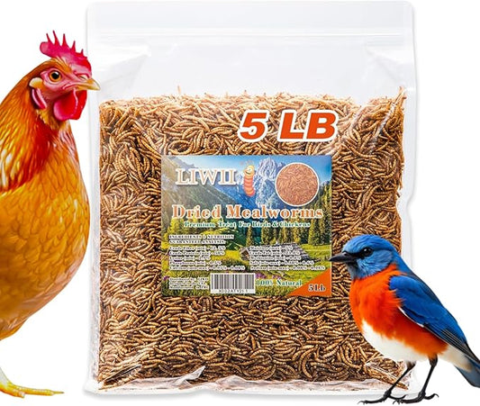 Dried Mealworms - 5 LBS - 100% Natural Non-GMO High Protein - Bulk Mealworms for Wild Birds, Chickens, Pet Treats & Reptile Food