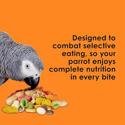 Kaytee Fiesta Parrot Food, Nutritious and Fun Blend, Supports Skin, Feather, Digestion, Brain and Heart Health, 2.5 pounds