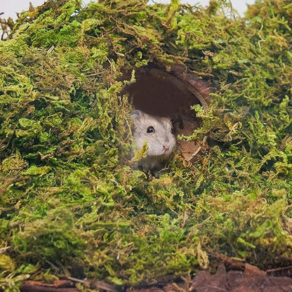 DR.DUDU 15L Forest Moss for Hamster Bedding Nesting, Syrian Gerbils Hamster Cages Accessories, Perfect for Small Animals Terrarium Moss