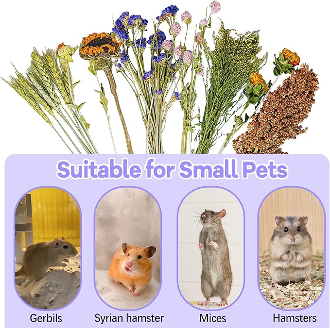 Natural Hamster Flower & Herb Habitat Deocr, Hamster Sprays Flowers Bedding Mate, Hamsters Cage Enrichment Decoration Accessories for Gerbil Dwarf Syrian Hamsters Guinea Pig Mice or Small Animals