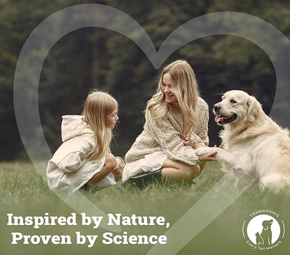 Hip & Joint Supplement for Dogs – Advanced Mobility Support with Glucosamine, Chondroitin, MSM, Turmeric & Green Lipped Mussel – 120 Soft Chews for Large, Medium & Small Dogs – Beef Flavor