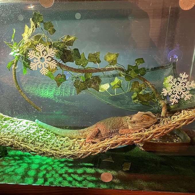 kathson Reptile Wooden Bridge,Bearded Dragon Hammock Decor Wood Reptile Hideout Hut Terrarium Hanging Plants Climbing Accessories Reptiles Hide Caves for Snake Gecko Lizard Tortoise (3 Pcs)