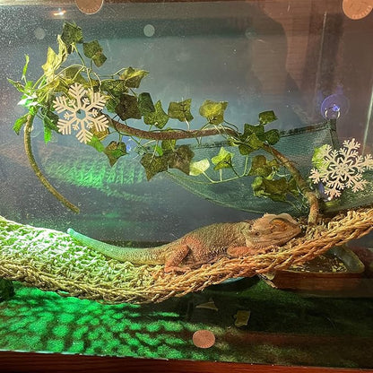 kathson Reptile Wooden Bridge,Bearded Dragon Hammock Decor Wood Reptile Hideout Hut Terrarium Hanging Plants Climbing Accessories Reptiles Hide Caves for Snake Gecko Lizard Tortoise (3 Pcs)