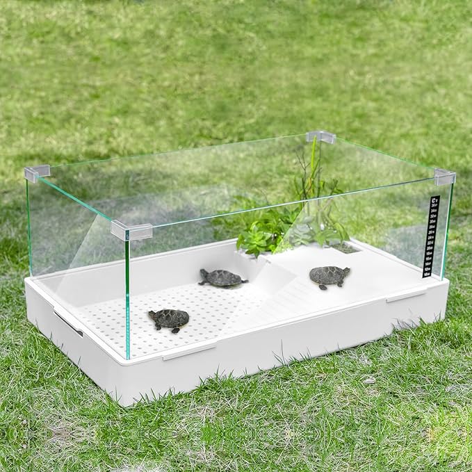 BETAZOOER Turtle Tank with Adjustable Water Pump Filter, Full View Visually Tortoise Aquarium Habitat, Glass Material Easy Changing Water&Clean for Small Amphibious Creatures Reptiles (23"×13.5"×10")