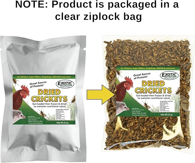 1.5 Pound Dried Crickets - High Protein Insect Treat - Chickens, Wild Birds, Hedgehogs, Bluebirds, Reptiles, Sugar Gliders, Opossums, Skunks, Lizards, Bearded Dragons, Fish, Turtles 8 oz. (3 Pack)