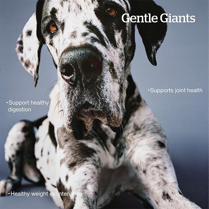 Now Fresh Grain-Free Large Breed Dry Dog Food with Turkey, Salmon & Duck, Premium Kibble for Adults Made with Real Meat & Fish, Chicken-Free, Glucosamine & Chondroitin for Healthy Joints, 25 lb Bag