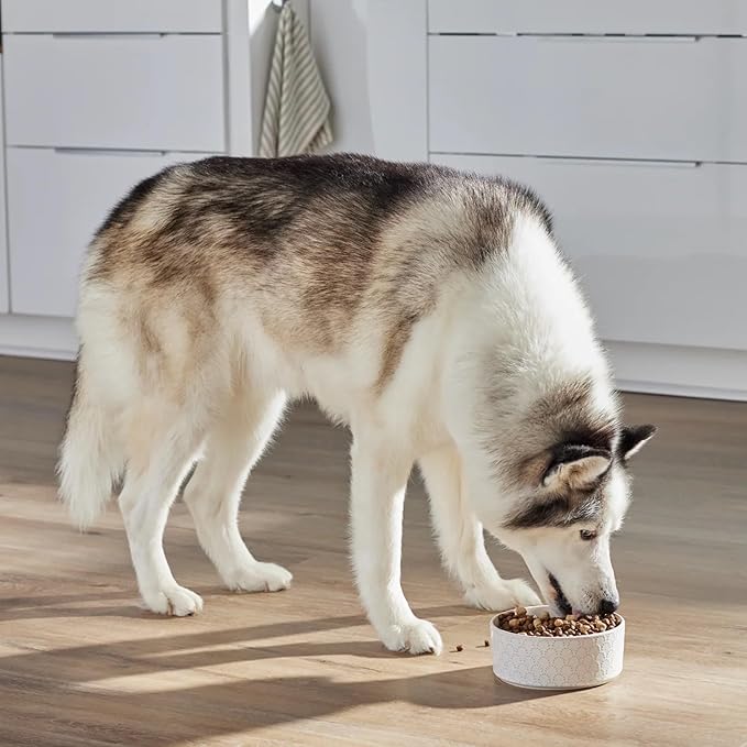 Open Farm, RawMix Grain-Free Dry Dog Food, Protein-Packed Kibble Coated in Bone Broth with Freeze Dried Raw Chunks, Beef Pork & Lamb, Front Range Recipe, 20lb Bag