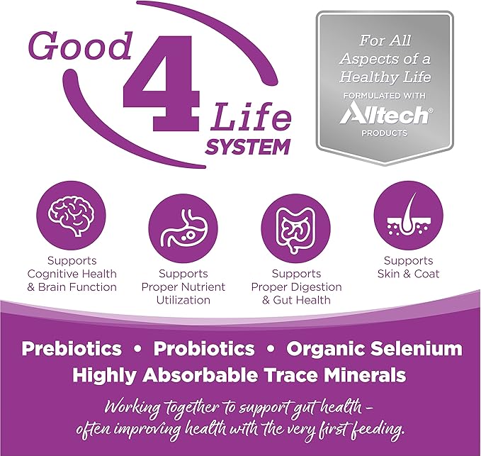 NutriSource Puppy Food, Made with Chicken and Rice, Large Breed, with Wholesome Grains, 30LB, Dry Dog Food