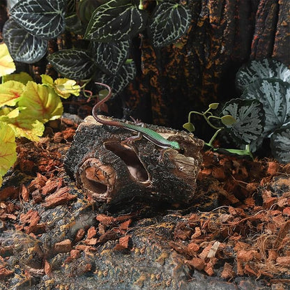 IBWell Aquarium Wood Fish Tank Decorations，Resin Fake Logs Terrarium DÉCor, Reptile Hide Aquarium Hideout for Fish Cave, Small Turtles, to 20 Gallon Tank