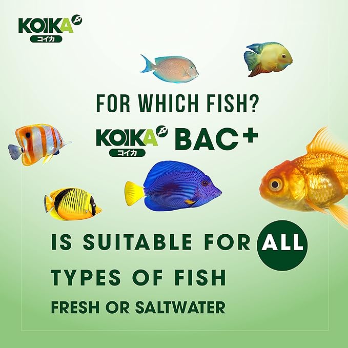 KOIKA BAC+ Aquarium Probiotics, Immunity Boosting, Disease Resistance & Improve The Digestive System (BAC+,120ml)