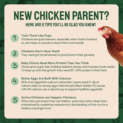 Bulk Dried Mealworms - 10 Lb Bag - Non-GMO Dried Mealworms for Chickens, Ducks & Wild Birds - High-Protein Chicken Feed & Bird Food