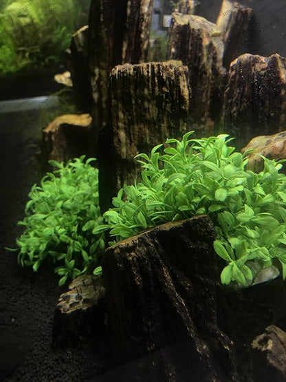 BEGONDIS Aquarium Decorations Fish Tank Artificial Green Water Plants Made of Soft Plastic, Safe for All Fish & Pets (Style-3)