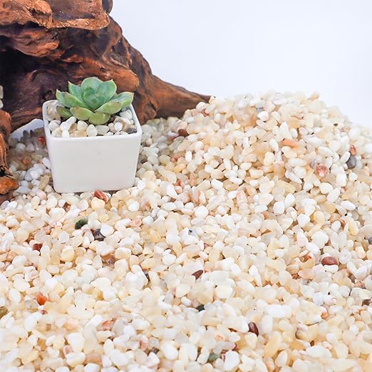 7lb Aquarium Gravel for Plants,1/5 Inch Natural Decorative River Rocks for Succulent and Cactus Landscaping, Natural Small Rocks for Fish Tanks, Vases & Terrariums