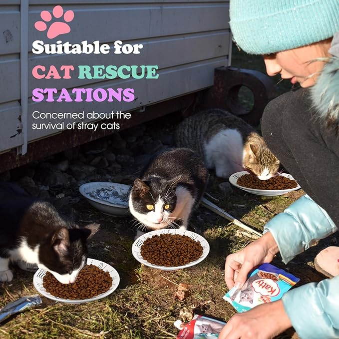 Irenare 10 Pcs Ceramic Cat Bowl 6 Inch Anti Whisker Fatigue Cat Plates Set Cute Shallow Pet Food Bowl Dishes for Food and Water, Kittens Small Animals(Cute Pattern)