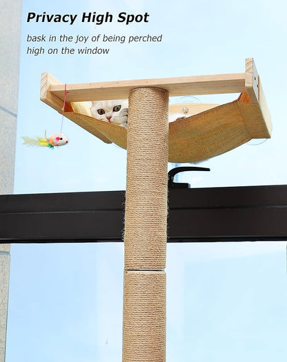 Cat Window Perch with Tall Scratching Posts, Inside 46" Climbing Tree Hammmock Mounted with Suction Cups for Sleeping,Playing and Watching Birds
