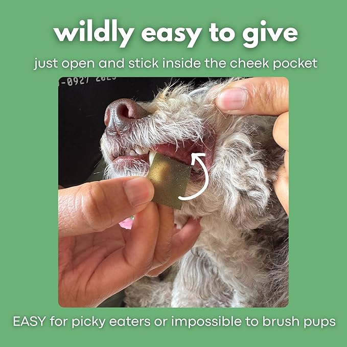 Dog Breath Freshener 5 in 1 – 30 Oral Strips – Natural Sage, Spirulina, Apple Cider Vinegar – Dogs Dental Care Products, Fresh Breath & Oral Hygiene Support – No Chew Dog Breath Mints