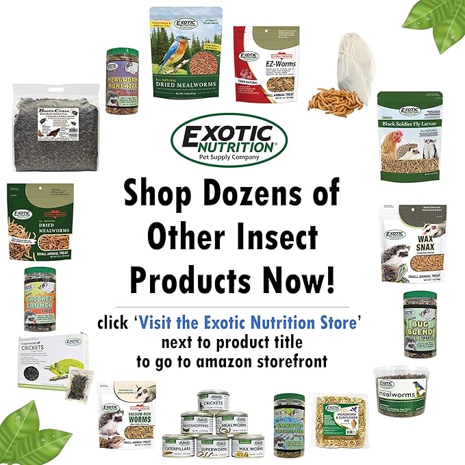 1.5 Pound Dried Crickets - High Protein Insect Treat - Chickens, Wild Birds, Hedgehogs, Bluebirds, Reptiles, Sugar Gliders, Opossums, Skunks, Lizards, Bearded Dragons, Fish, Turtles 8 oz. (3 Pack)