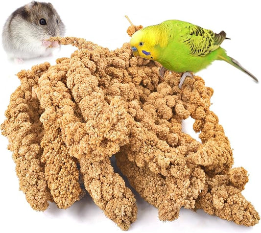 KATUMO 1.1LB Spray Millet Treat for Pet Birds, Natual Sun-Dried Bird Millet Parrot Food for Parakeet Budgie Cockatiel Finches Lovebird Conure Parrots Hamster