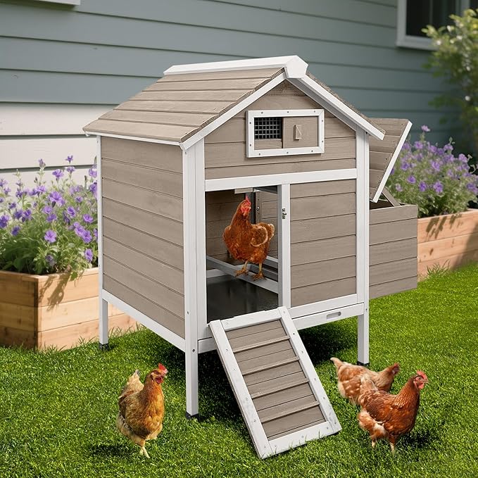 Large Chicken House Outdoor with 2 Nesting Box, Small Wood Chicken Coop Hen House with Removable Trays, Ramp, Outdoor Indoor Rabbit Hutch Poultry Cage (32" L x 23.6" W x 36.6" H)