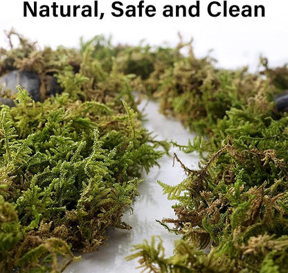 DR.DUDU 5L Forest Moss for Hamster Bedding Nesting, Syrian Gerbils Hamster Cages Accessories, Perfect for Small Animals Terrarium Moss