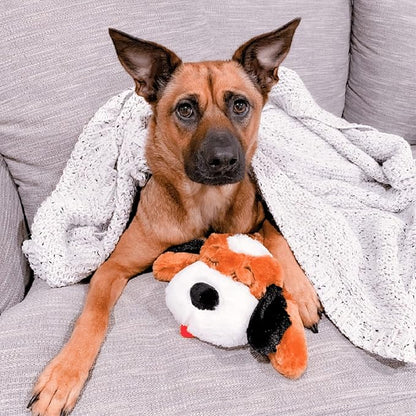 Original Snuggle Puppy Toys - Heartbeat Puppy for Dogs - Pet Anxiety Relief and Calming Aid - Comfort Dog Toys for Behavioral Training