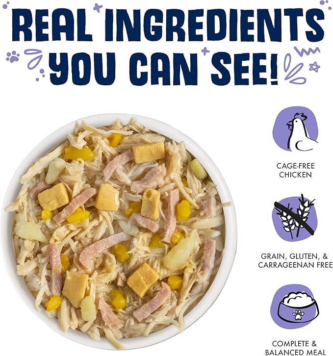 Weruva Classic Dog Food, Bed & Breakfast with Chicken, Egg, Pumpkin & Ham in Gravy, 14oz Can (Pack of 12)