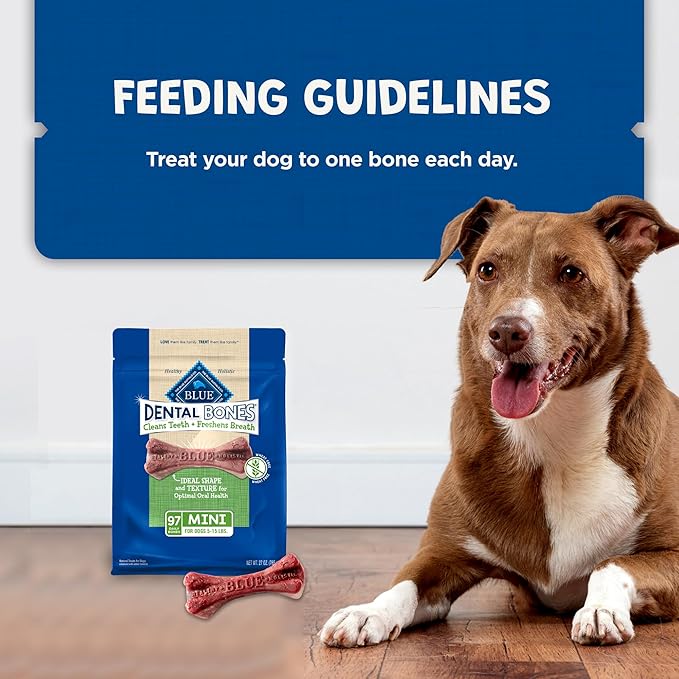 Blue Buffalo Dental Bones Mini Natural Dental Chew Dog Treats Bag Value Pack