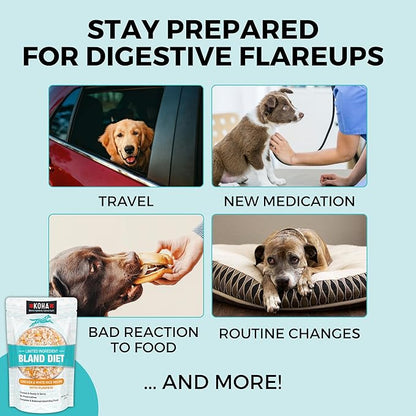 KOHA Limited Ingredient Bland Diet for Dogs, Chicken and White Rice Sensitive Stomach Wet Dog Food, Sold in Over 5,000 Vet Clinics & Pet Stores, Gentle Easy to Digest Bland Diet Dog Food, Pack of 6