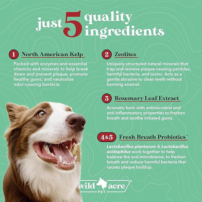 Wild Acre Dental Powder for Dogs - Dog Breath Freshener Dental Powder for Teeth Cleaning Plaque Off, Dental Care for Dogs, Tartar Remover for Teeth - Fresh Breath Probiotics