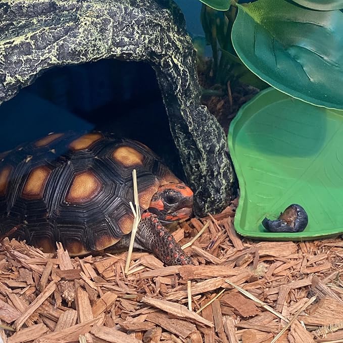 kathson Reptile Rock Hideout Cave,Tortoise Hide Caves,Resin Hides Shelter,Reptile Green Plant Decoration Habitat Decor Terrarium Accessories for Lizards Bearded Dragon Gecko Turtles Spiders