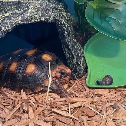 kathson Reptile Rock Hideout Cave,Tortoise Hide Caves,Resin Hides Shelter,Reptile Green Plant Decoration Habitat Decor Terrarium Accessories for Lizards Bearded Dragon Gecko Turtles Spiders