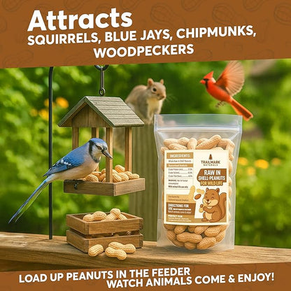 10 LB - Raw Peanuts For Squirrels, Raw In Shell Peanuts For Birds and Wildlife- Squirrel Food, Wild Bird Seed - Grown in The USA