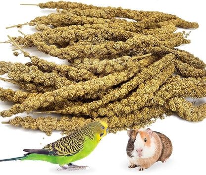 kathson Spray Millet Treat Sun-Dried Bird Millet Parakeet Treats for Budgies Finches Cockatiels Parrots Lovebird Hamster Other Pet Birds 0.44LB