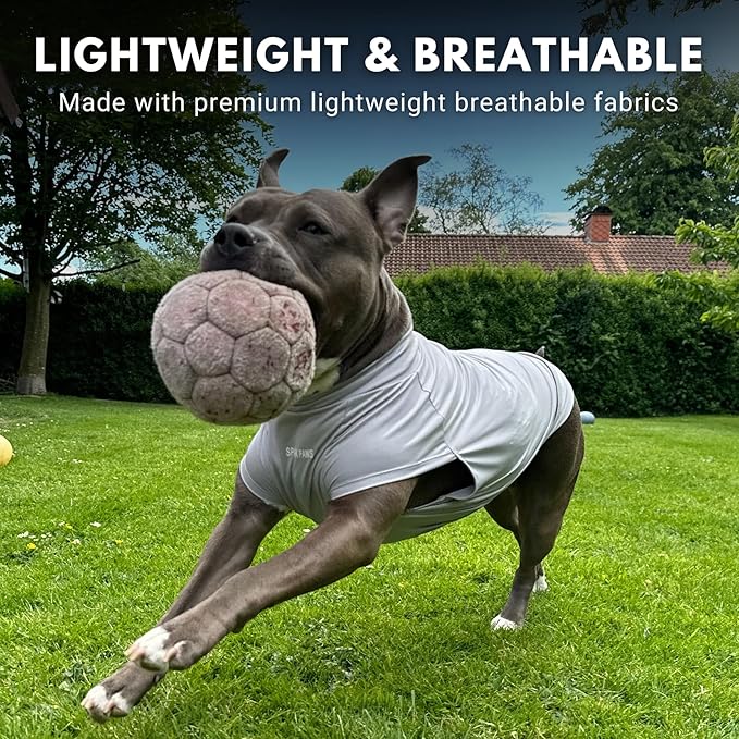 Spark Paws Sunblock Dog T-Shirt, SPF30 Protection, Lightweight Breathable Quick Dry for Dogs with Sensitive Skin - Blue & Grey (Set of 2) - 4XL