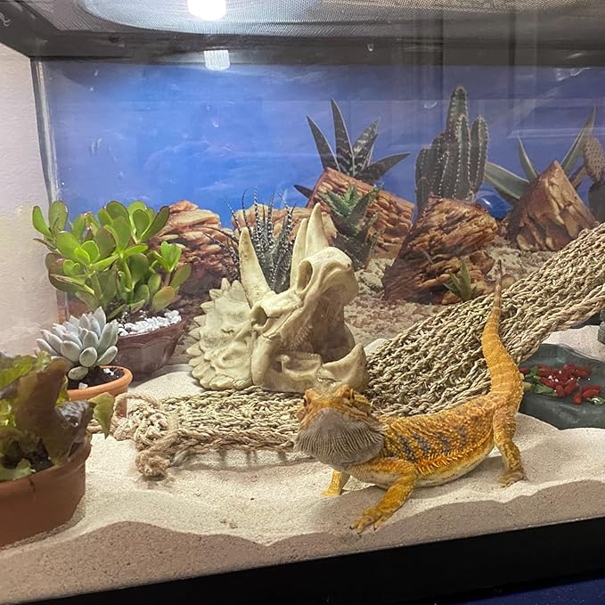 kathson Reptile Resin Dinosaur Skull Decoration Bearded Dragon Tank Triceratops Skeleton Accessories Vines Flexible Leaves Decor for Lizards Tortoises Snakes Frogs(3 PCS)