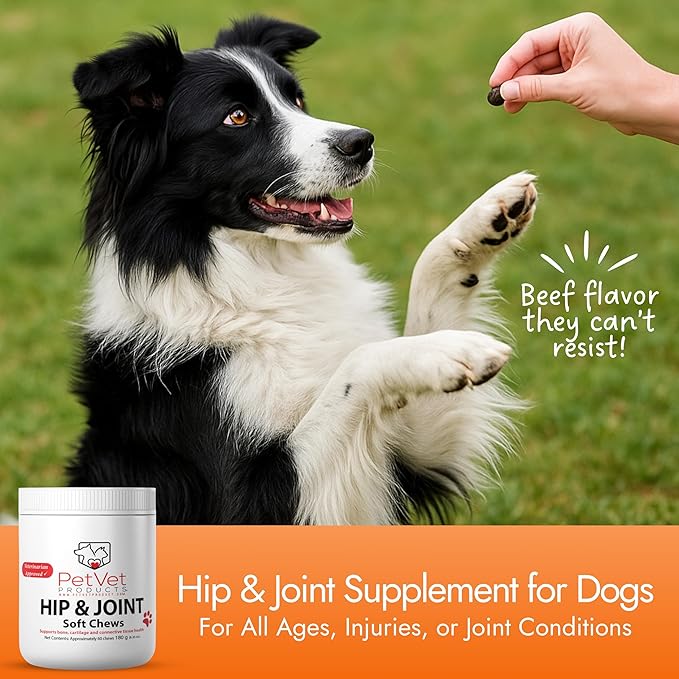 Dog Hip and Joint Supplement - Glucosamine for Dogs (Beef Liver, 60 Chews) - Dog Joint Supplement with MSM, Chondroitin, Vet Approved Dog Vitamins -Mobility Joint Pain Supplements