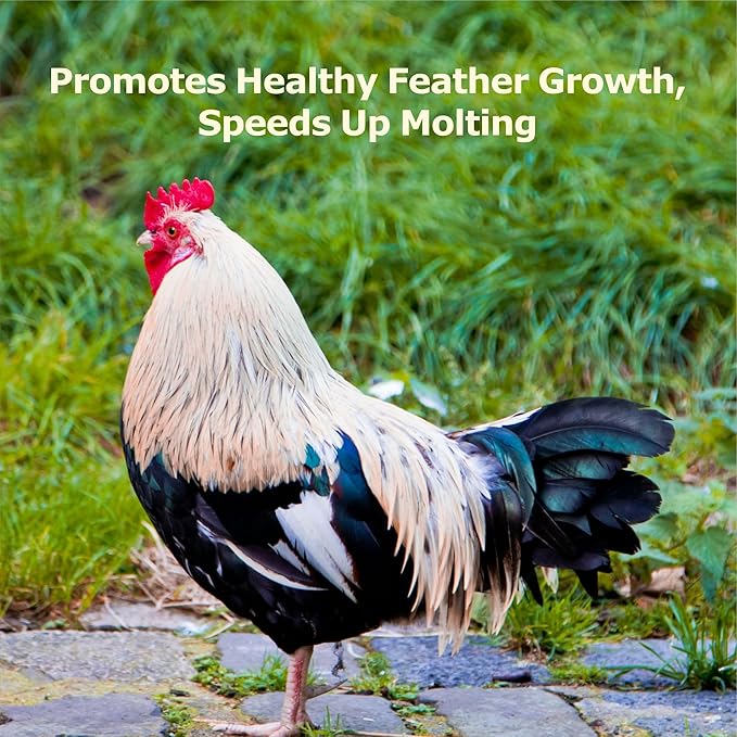 2LB Dried Black Soldier Fly Larvae, More Calcium Than Dried Mealworms, High Protein Chicken Feed, Poultry Treat, Chicken Scratch