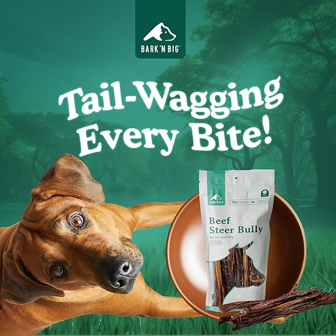 BARK'N BIG Steer Sticks for Dogs - Chew Stick for Dogs, Odor Free Pizzle Sticks, Bully Chews Made in USA & Sourced in The USA - 11-12 Inch - 10 Ct