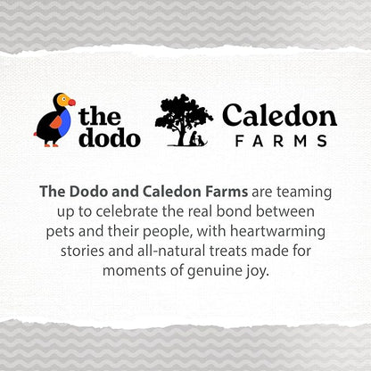 Caledon Farms The Dodo Crunchy Biscuits - Chicken with Apple & Blueberry 19.5oz, Dog Treats, Biscuits