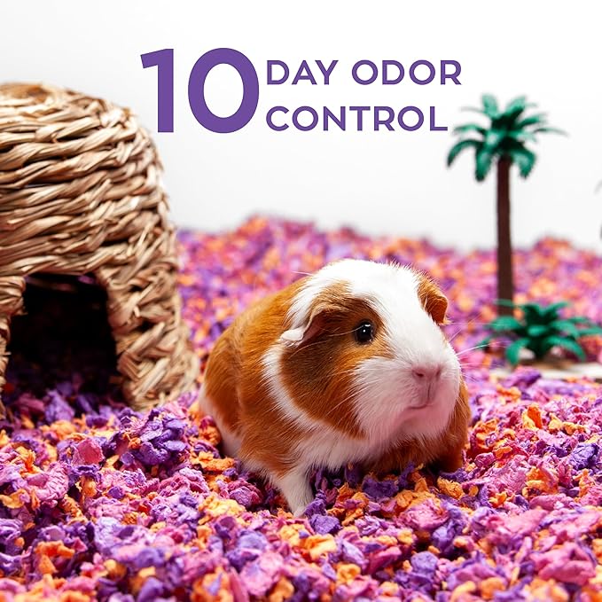 carefresh Dust-Free Beach Party Natural Paper Small Pet Bedding with Odor Control, 23L