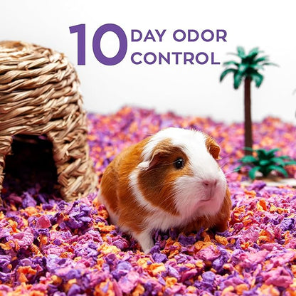 carefresh Dust-Free Beach Party Natural Paper Small Pet Bedding with Odor Control, 23L