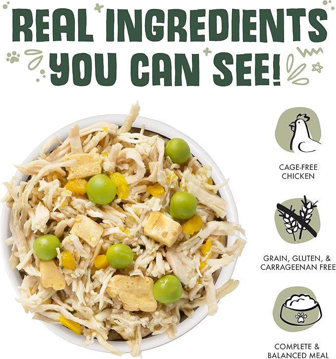 Weruva Classic Dog Food, Green Eggs & Chicken with Chicken Breast & Pumpkin in Gravy, 5.5oz Can (Pack of 24)