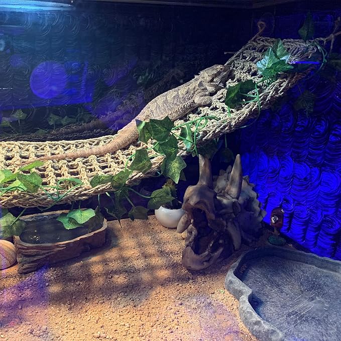 kathson Reptile Resin Dinosaur Skull Decoration Bearded Dragon Tank Triceratops Skeleton Accessories Vines Flexible Leaves Decor for Lizards Tortoises Snakes Frogs(3 PCS)