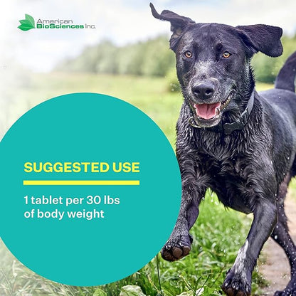 DGP, All-Natural Joint Supplement for Dogs - Joint Support with Turmeric Boswellia Extract - 60 Chewable Pet Tablets per Bottle (60 Count (Pack of 1))