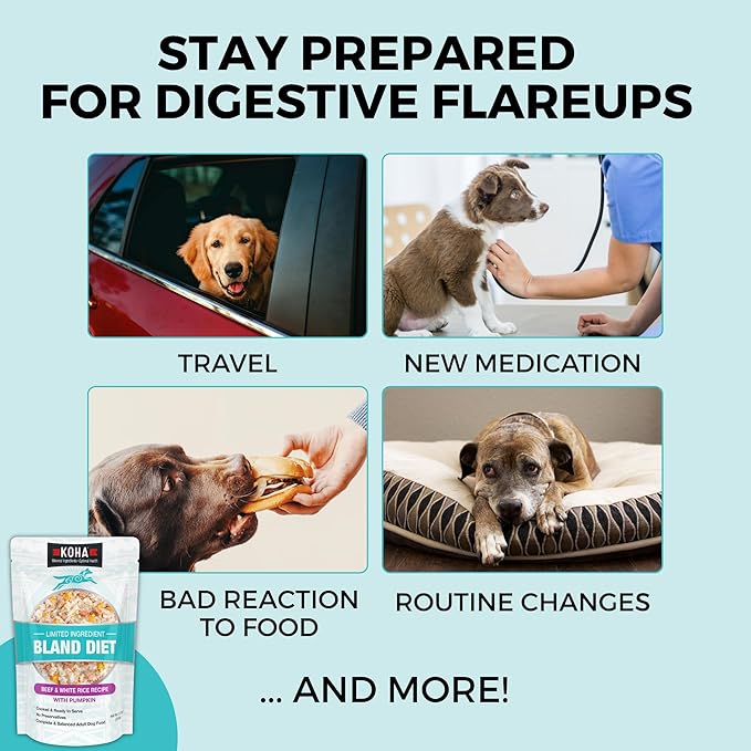 KOHA Limited Ingredient Bland Diet for Dogs, Beef and White Rice Sensitive Stomach Wet Dog Food, Sold in Over 5,000 Vet Clinics & Pet Stores, Gentle Easy to Digest Bland Diet Dog Food, Pack of 6