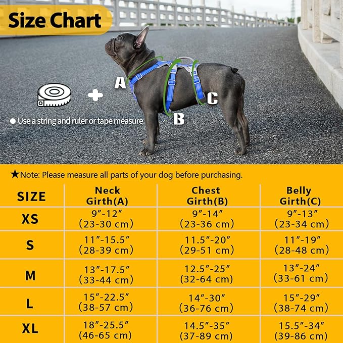 Escape Proof Dog Harness,No Pull Reflective Harness with Lift Handle,Adjustable Pet Vest with Front and Back Leash Clips for Small Medium Large Dogs Walking Hiking Training (Sea Blue,XL)