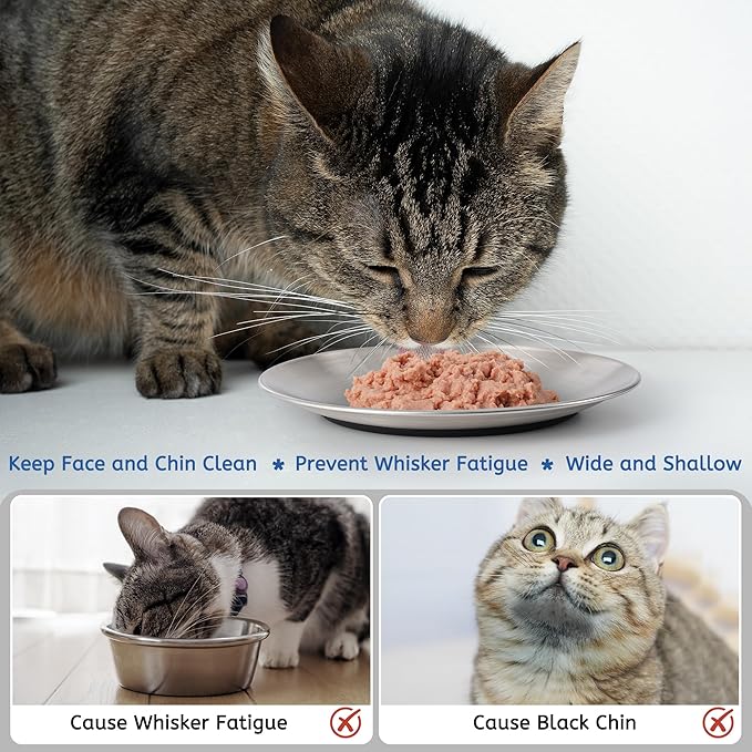 Stainless Steel Cat Bowls, 6.7" Wide and Shallow Cat Food Bowl Set with Silicone Ring for Non Slip, Flat Metal Cats Dishes or Plates for Feeding Indoor Cats, Kitten, Small Dogs (Silver-2 Pack)